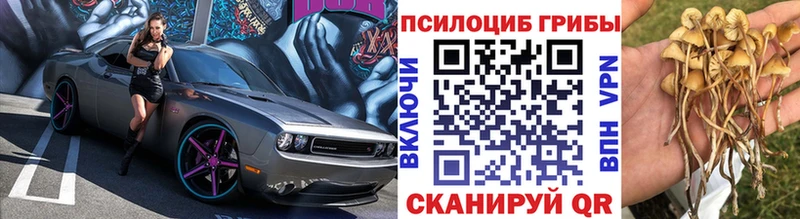 Купить  Демидов  Псилоцибиновые грибы мицелий 