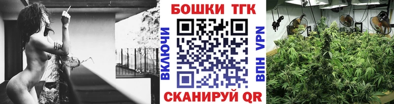 Купить закладки  Демидов  Шишки марихуана AK-47 